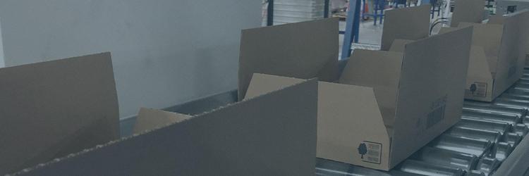 Direktbeschriftung von Kartonagen